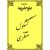 دانلود کتاب کشکول منتظری: گلچینی از حکمت، شعر و روایات PDF